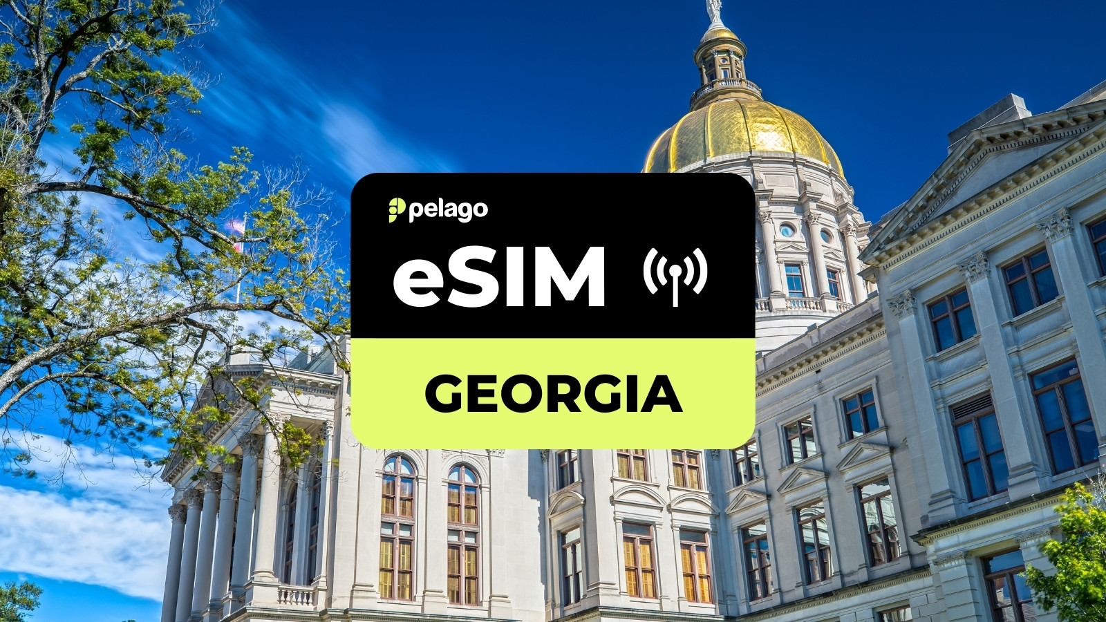 Georgia eSIM by Pelago - Photo 1 of 4