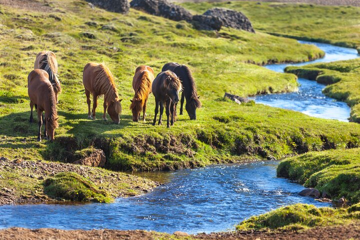 Ride A Horse To Gergeti Trinity Church And Summit A Mountain - Photo 1 of 16