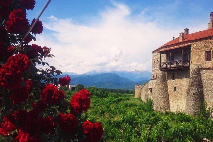 Kaheti One Day Tour Signagi