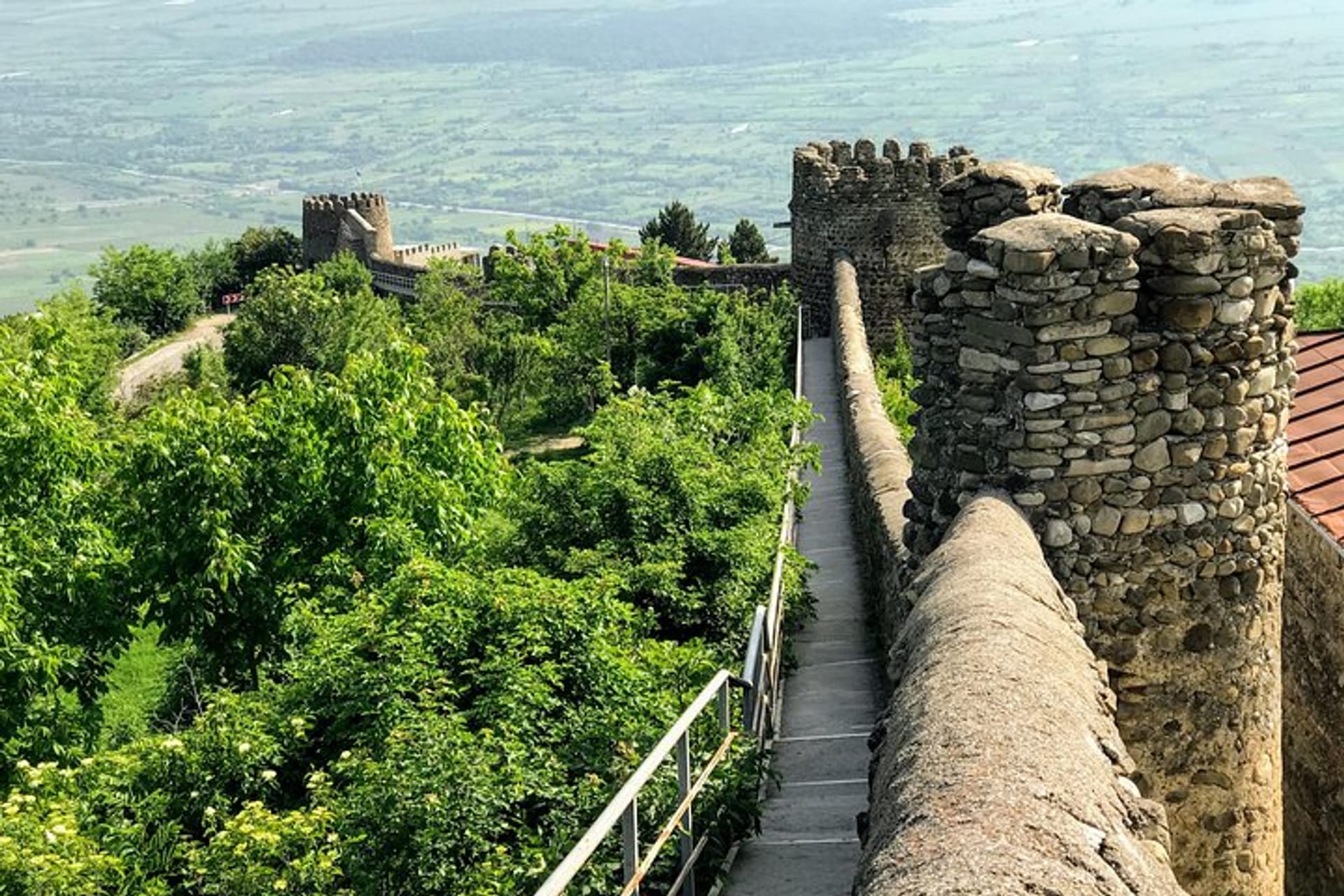 Kakheti and Sighnaghi tour with winetasting tại Tbilisi | Pelago