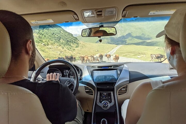 Kazbegi, Gergeti, Gudauri, Ananuri, Mtskheta | Tatin Travel  - Photo 1 of 21