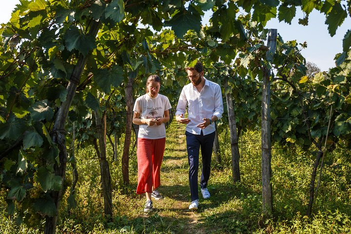 KUTAISI, WINE & DINE - Group tour from Tbilisi - Photo 1 of 10