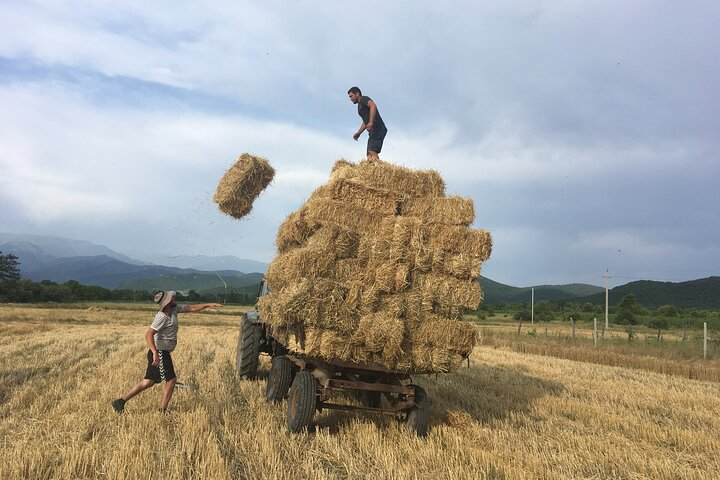 From Tbilisi : Khevsureti Day Trip (Shatili & Anatori Necropolis) - Photo 1 of 12
