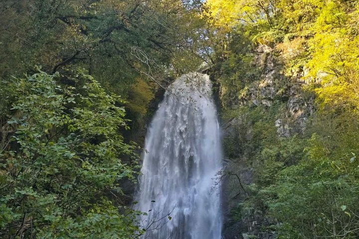 Full Day Tour from Batumi to Waterfalls - Photo 1 of 25