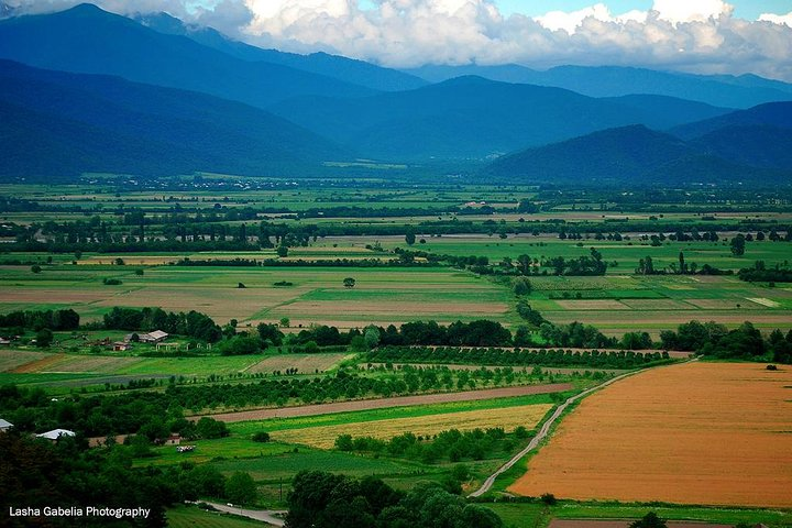 Two Days in Gorgeous Wine Region with Full board Meals and Tastings From Tbilisi - Photo 1 of 7