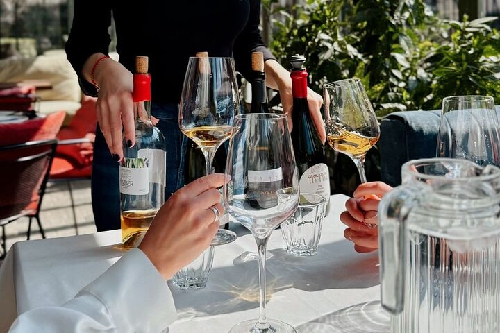 Wine Tasting Feel the Difference of Qvevri or Classical Wine - Photo 1 of 7
