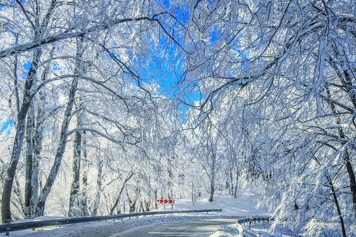 Winter Fun for Families: Sabaduri, Ananuri, Gudauri Adventure - Photo 1 of 10