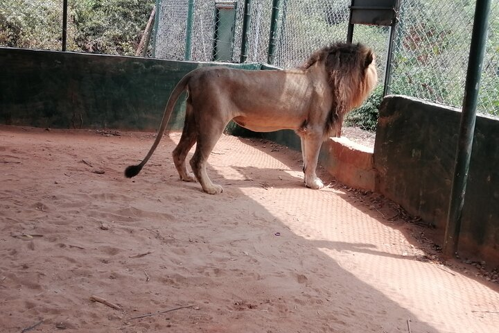 Accra Zoo, Private tour experience - Photo 1 of 7