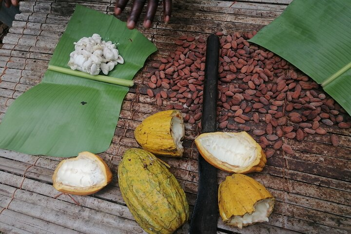 Aburi Botanical Gardens and Cocoa farm - Private Tour - Photo 1 of 8