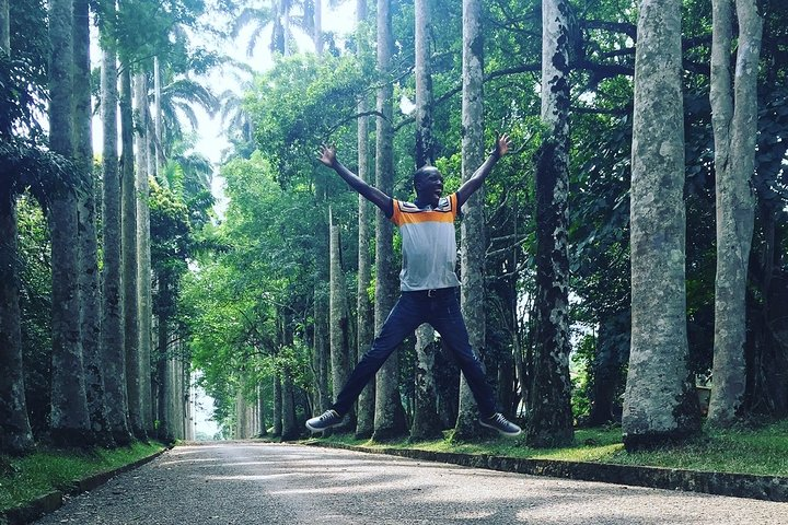 Aburi Gardens and Tetteh Quarshie Farms - Photo 1 of 8