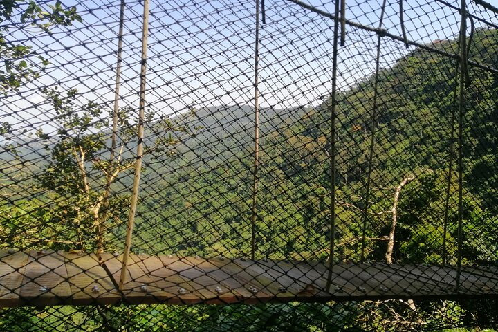 Full-Day Volta Experience ( Mount Gemi and Monkey Sanctuary) Private Tour - Photo 1 of 10