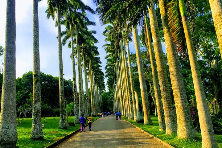 Nature Thrills - Photo 1 of 10