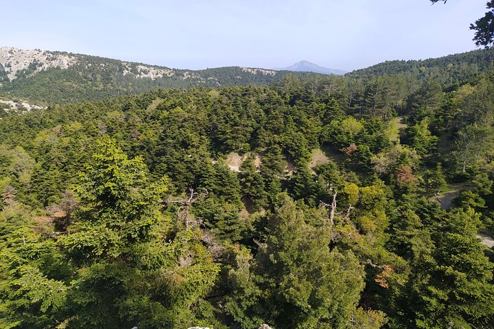 1 Day Parnitha Athens Private Hiking Tour with Hotel Pickup - Photo 1 of 6
