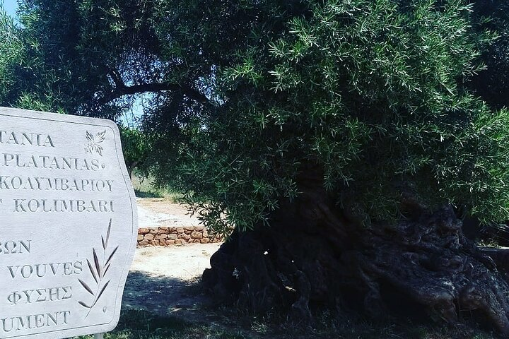 Sips of Crete: Flavors, Legends & Hidden Gems - Photo 1 of 12