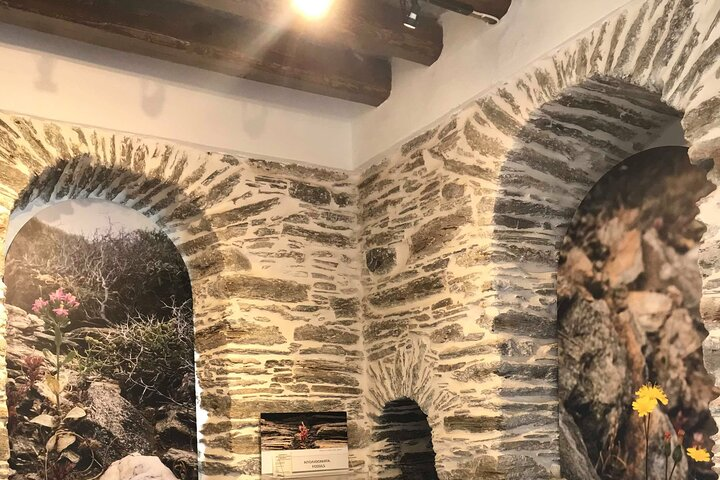 Andros Full Day Sightseeing Tour - Photo 1 of 9