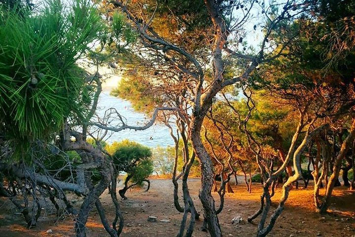 Andromeda Experiences: VIP Sunset Photo Walk Golden Hour of Paros - Photo 1 of 3
