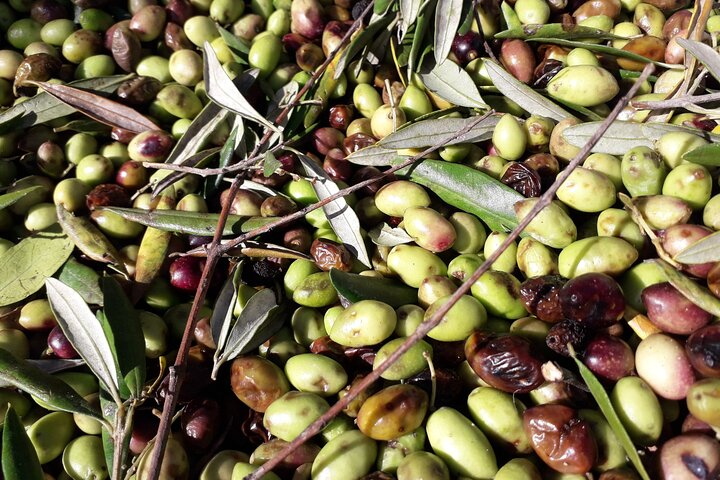 Countryside Private Tour - Photo 1 of 16