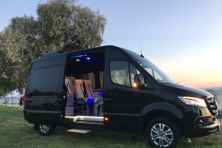 Luxury Mini Bus up to 12 passengers