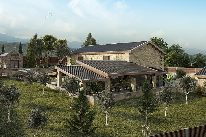 Explore the Secrets of Wine and Olives  - Photo 1 of 7