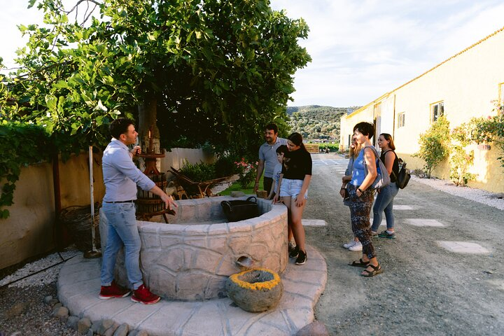 Experience the charm of Trizinia's family-owned winery where storytelling and wine tasting combine amidst picturesque vineyards and delightful local flavors perfect for creating lasting memories.