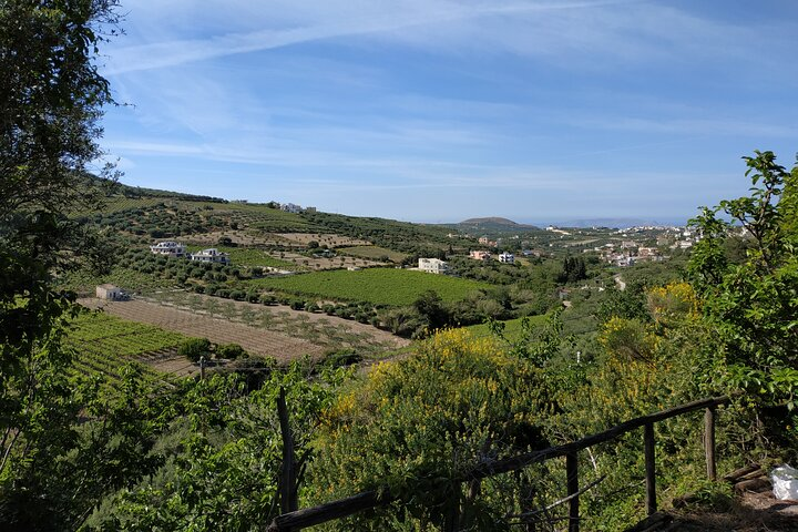 E-bike-Olive oil tasting & Wine tasting-old villages - Photo 1 of 8