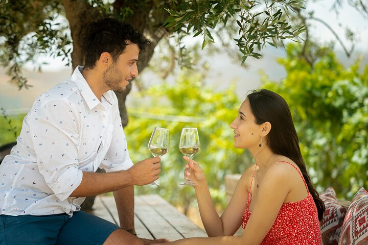 Food and Wine pairing in the vineyards
