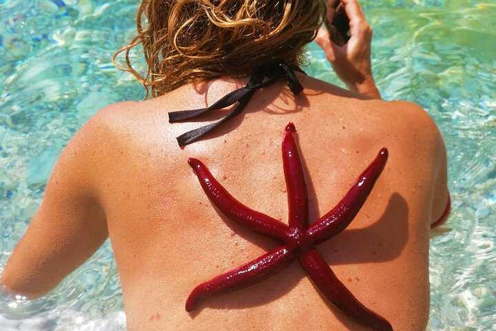 Kayak Trip to Hidden blue Cave, with lunch & fruits. - Photo 1 of 8