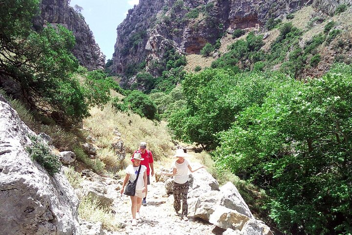 Hiking adventure in the Polyrrinia & Sirikari Gorge. Private tour - Photo 1 of 6