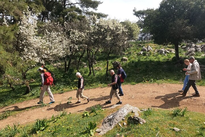 Private Tour Winter Season Hiking Profitis Ilias Mountain - Photo 1 of 9