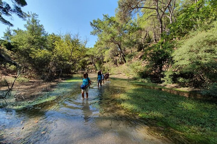 Guided hike to the seven springs from Archangelos - Photo 1 of 19