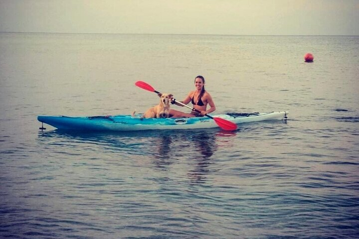 Kayaking Adventure around Pelion Coastline  - Photo 1 of 6