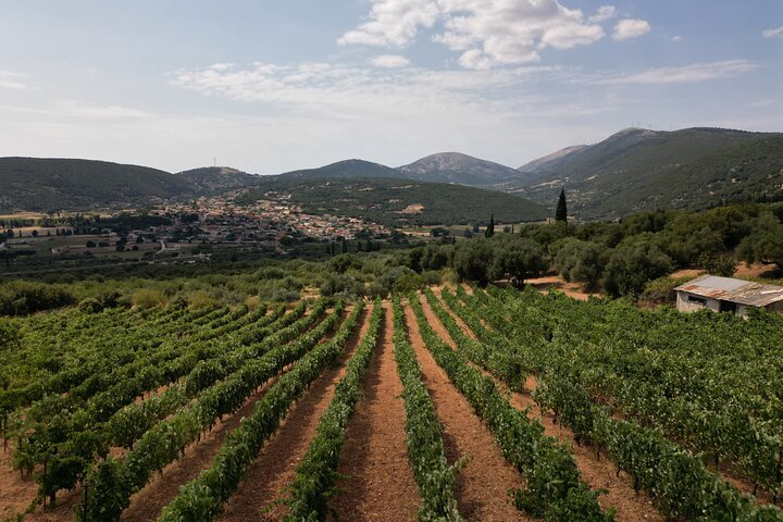 Kefalonia Wine Tour - Photo 1 of 5