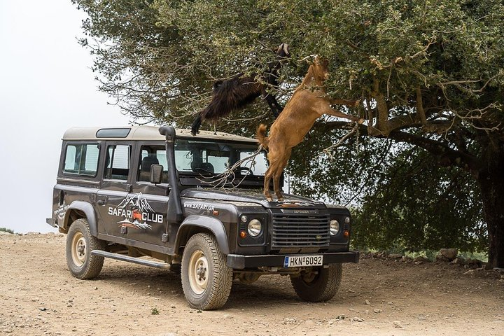 Land Rover Safari Minoan Route with driver and lunch - Photo 1 of 11
