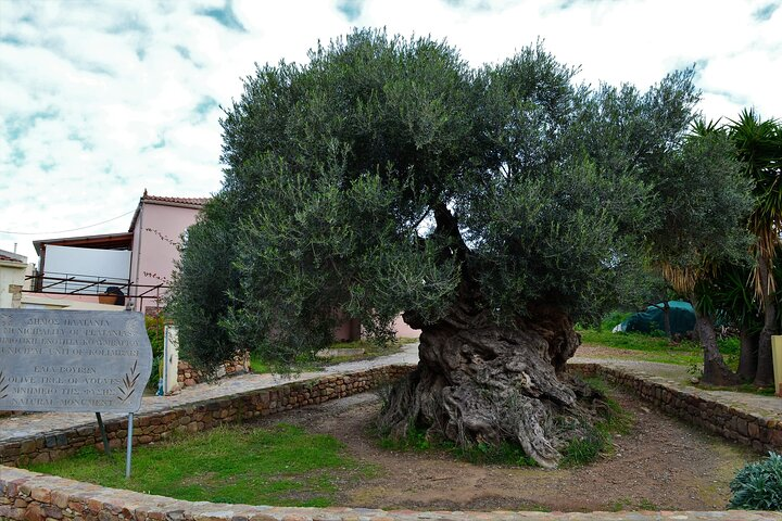 Private Chania Half-Day: Olive Tree, Brewery & Monastery - Photo 1 of 14