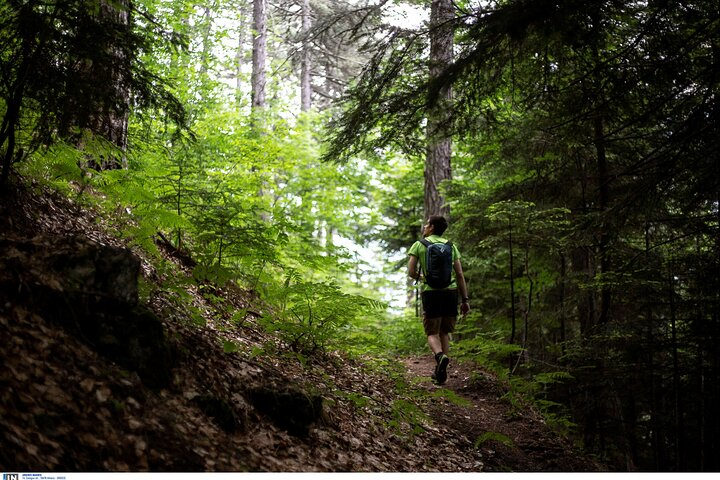Experience Mount Olympus comfortably at a relaxed pace, with minimal walking and shaded forest stops, making it ideal even during the Greek summer.