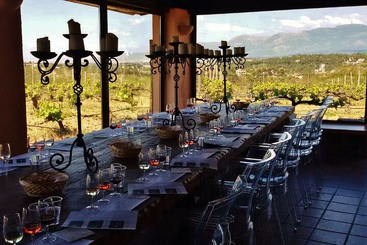 North Attica private wine tour  - Photo 1 of 9