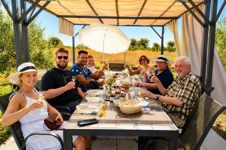 Olive oil seminar with tasting in Metaggitsi - Halkidiki - Photo 1 of 8
