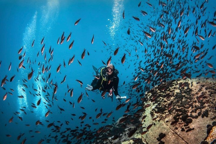 PADI Discover Scuba Diving for Beginners at Ouranoupoli|Chalkidiki|Greece - Photo 1 of 10