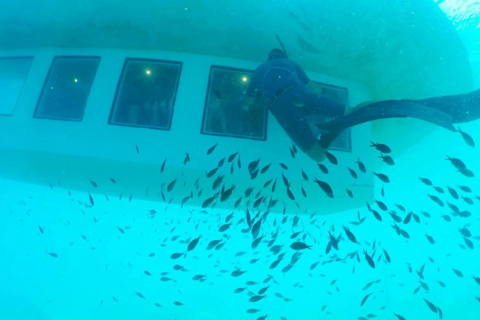 Poseidon Submarine Cruise - Photo 1 of 7