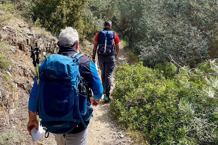 Private 3-Hour Hiking in Mount Ymittos - Photo 1 of 14