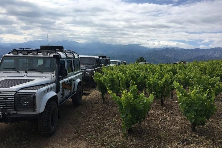 Private Exclusive Manousakis Winery and Vineyard Tour - Photo 1 of 20