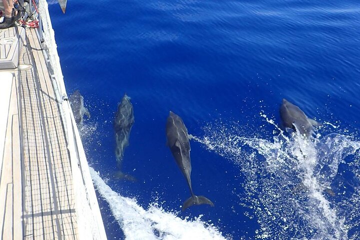 Private Full Day Cruise Tour in Naxos Town - Photo 1 of 8