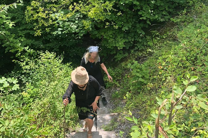 Private hiking tour to Olympus mountain - Photo 1 of 8