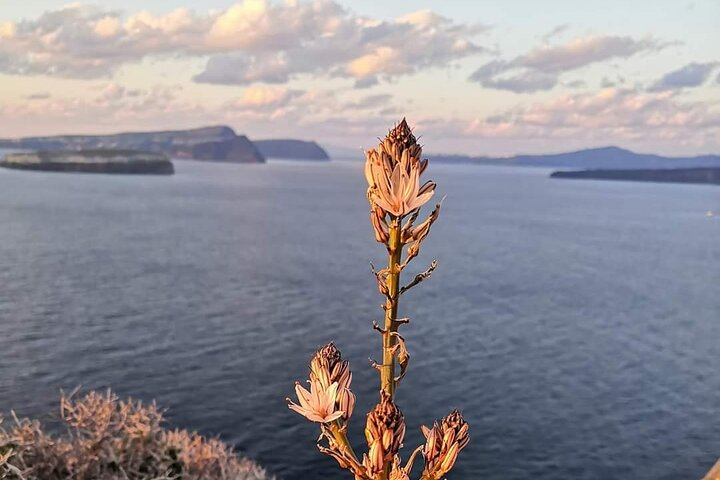 Private Inland Fishing Tourism - Morning Tour - Photo 1 of 7
