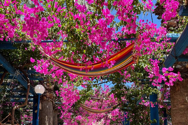 From Heraklion-PRIVATE Kourtaliotiko Waterfalls-Prevelis Beach - Photo 1 of 10