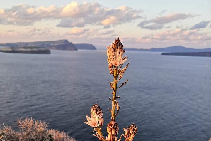 Private Sunset Inland Fishing Tour in Vlychada - Photo 1 of 11