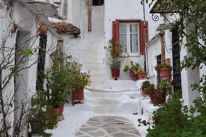 Sightseeing Private Tour in Athens Acropolis (Elysium Travel) - Photo 1 of 14