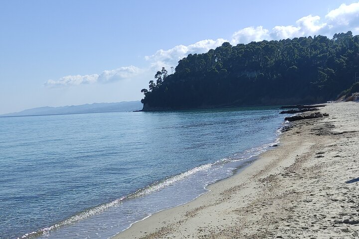 Small Group Swim at the Best Beaches of Halkidiki - Photo 1 of 15