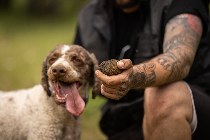 Truffle Hunting at Meteora - Photo 1 of 9