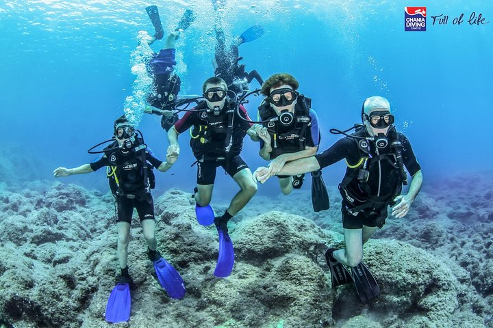 Try Scuba in Crete - Free Certification & Photos (Beginners) - Photo 1 of 12